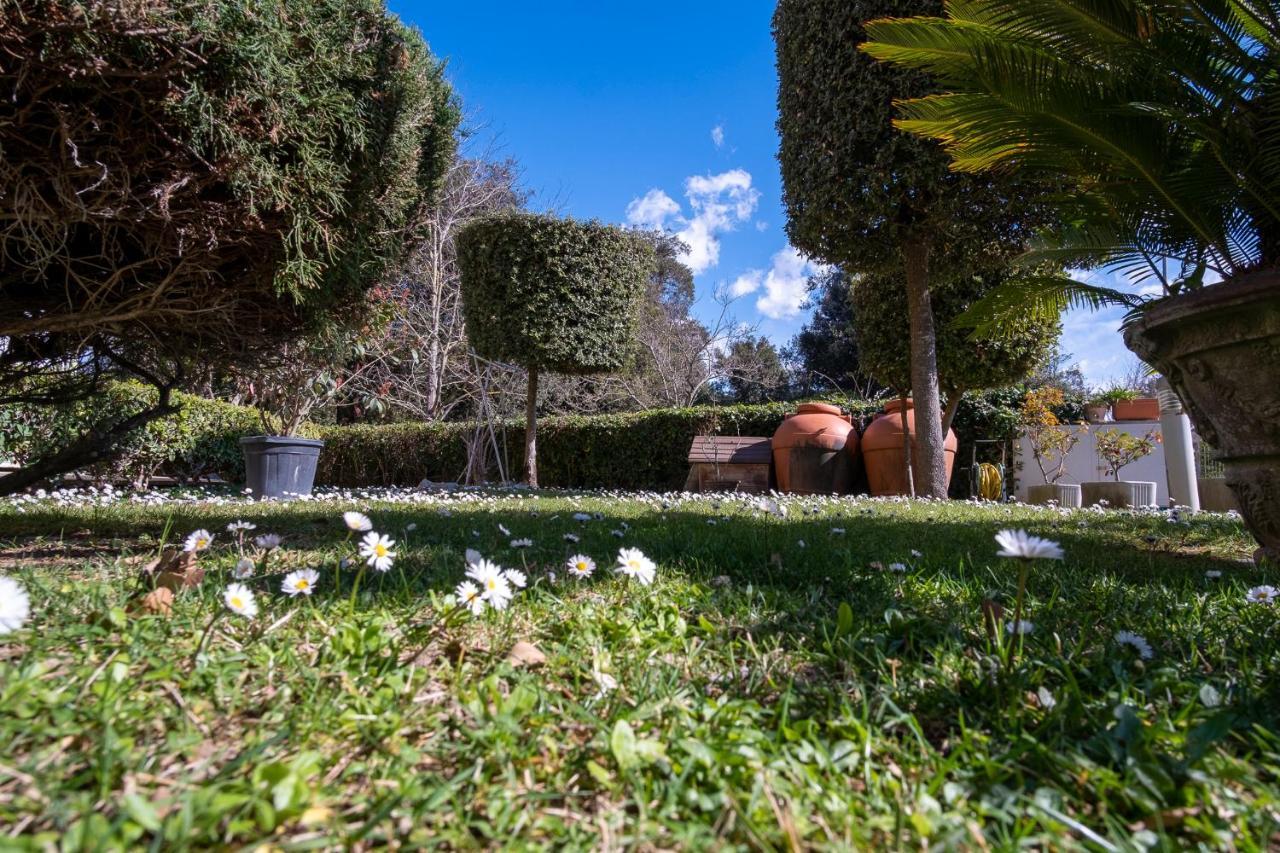 Beverly Park Residence Tirrenia Exterior foto